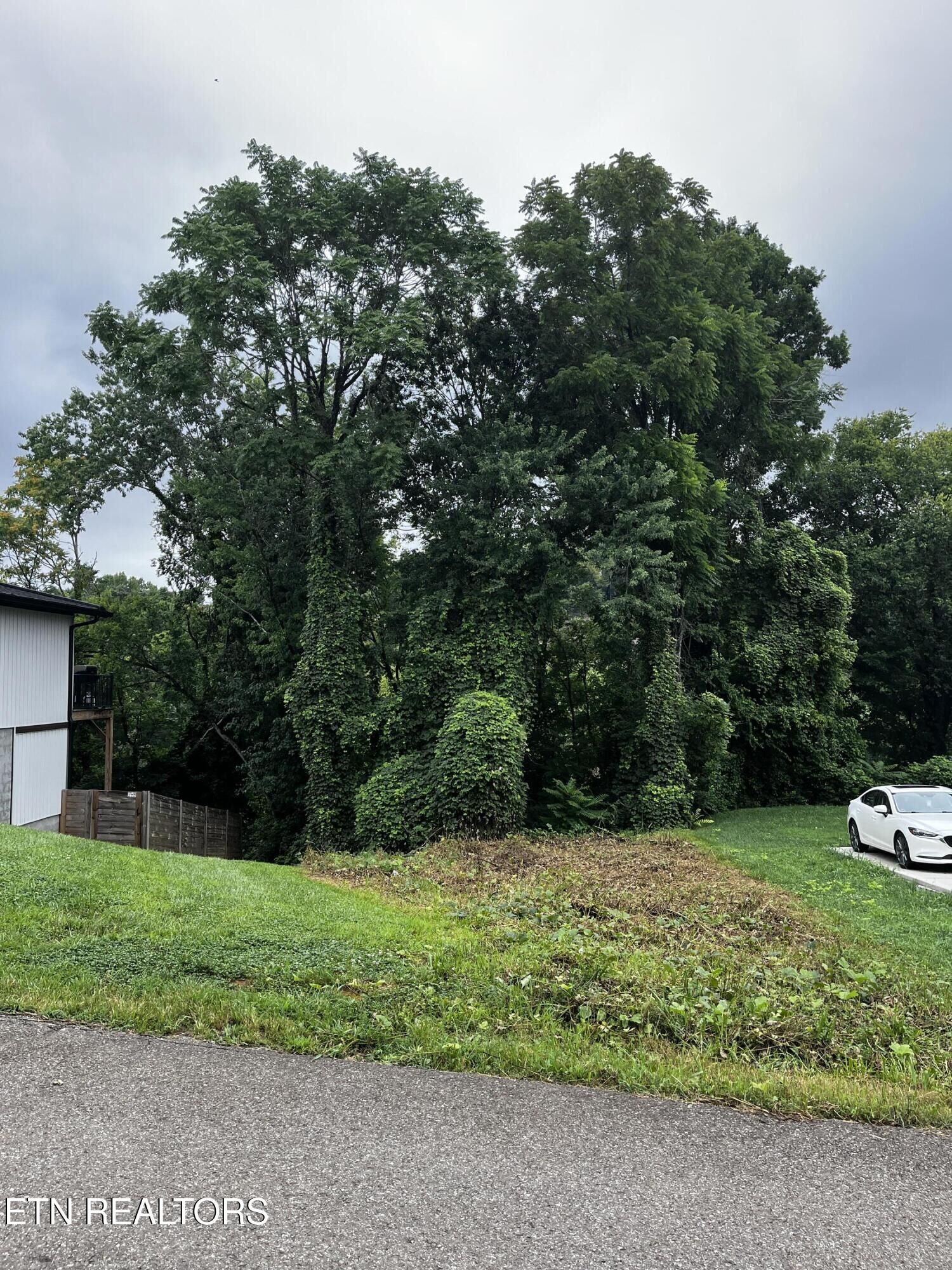 Property Photo:  103 Henry Ave  TN 37920 