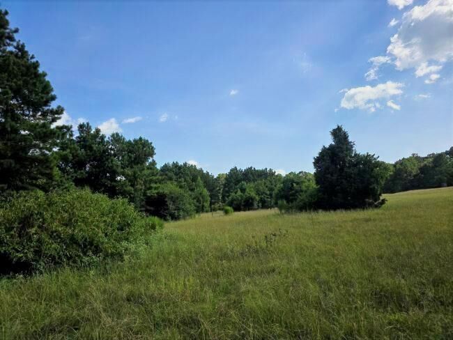 Property Photo: 39.10 Ac N Fm 2276 TX 75652