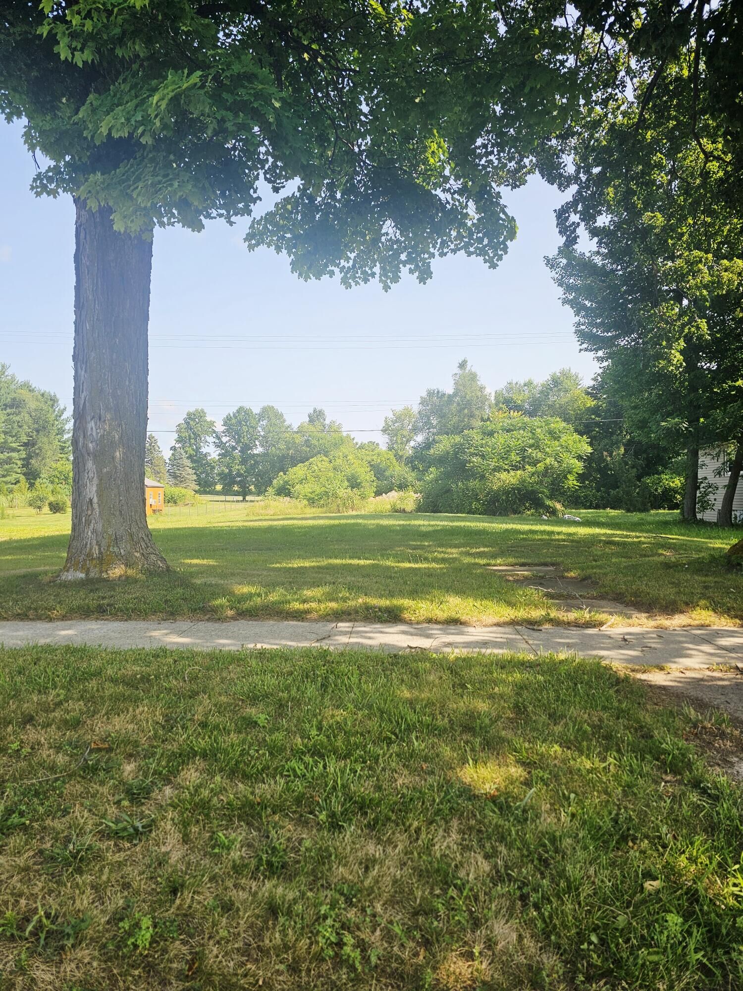 Property Photo:  229 E Leroy Street  MI 49029 