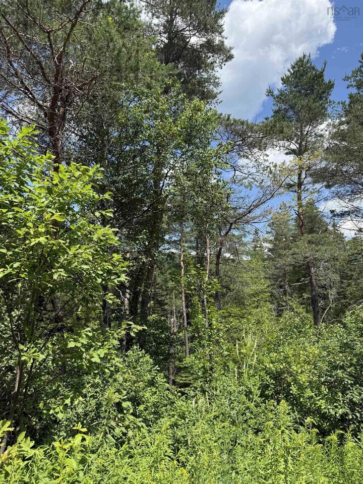 Property Photo:  Lot 1 & 2 Whycocomagh Port Hood Rd. Soapstone Mine  NS B0E 3M0 