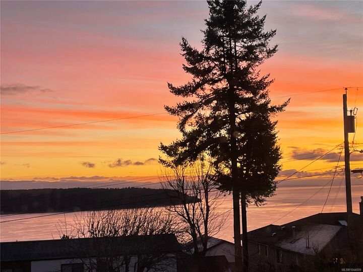 Property Photo: 244 Alder St S BC V9W 2N1