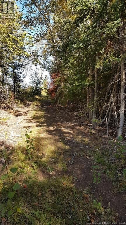 Property Photo:  Lot Desroches Road  NB E4J 4L1 