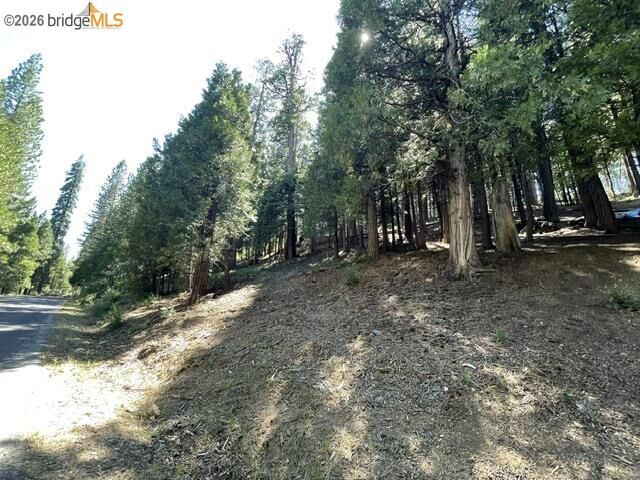 Property Photo: Parcel 34 Sno Bowl Rd CA 95346