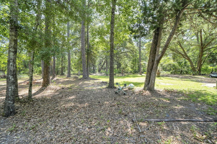 Property Photo:  41 Frog Hill Road  FL 32439 