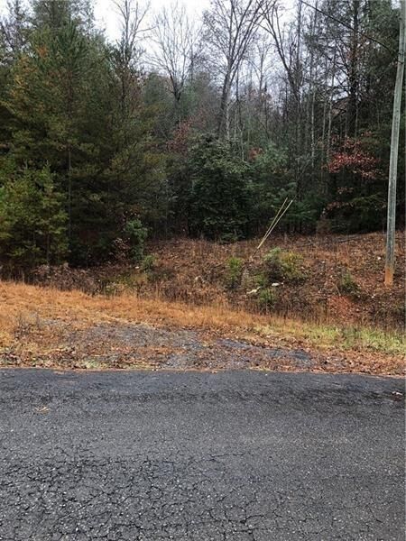 Property Photo:  0 Flagpole Road  GA 30540 