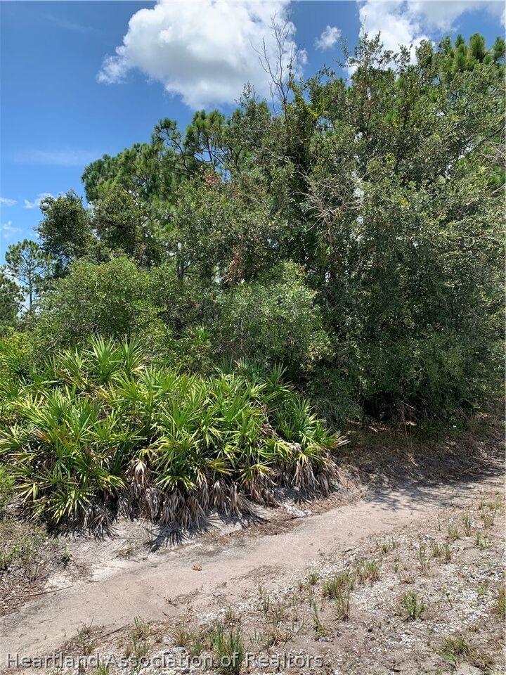 Property Photo: 1228 Cowhouse Road FL 33857