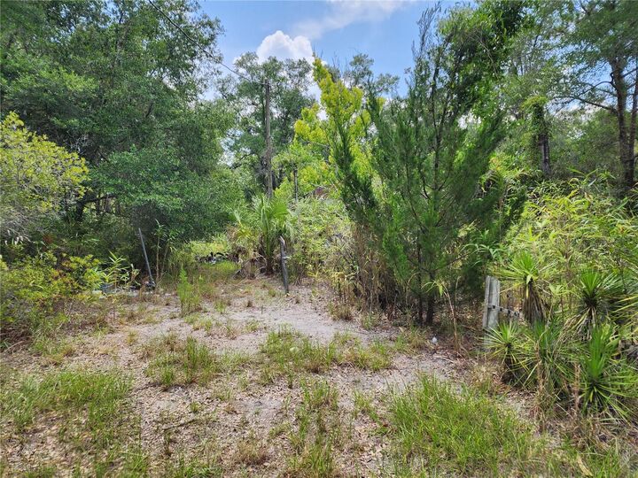 Property Photo: 11335 N Ginny Lane Point FL 34449