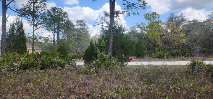 Property Photo:  18119 Parrot Road  FL 34614 