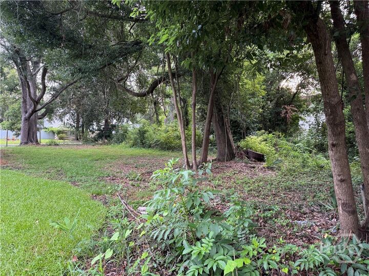 Property Photo:  503 Durant Avenue  GA 31404 