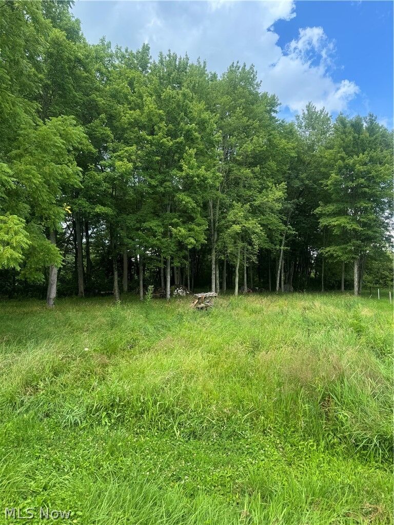 Property Photo:  W Egypt Road  OH 44657 