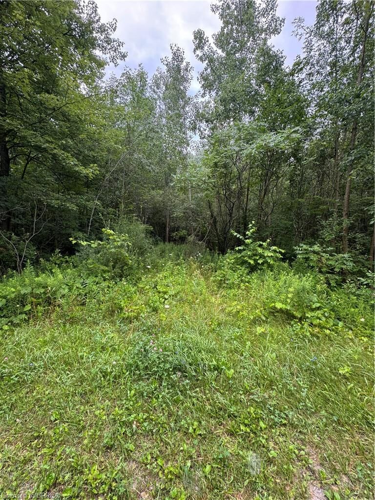 Property Photo:  Na Concession 6 Townsend  ON N0E 1Y0 