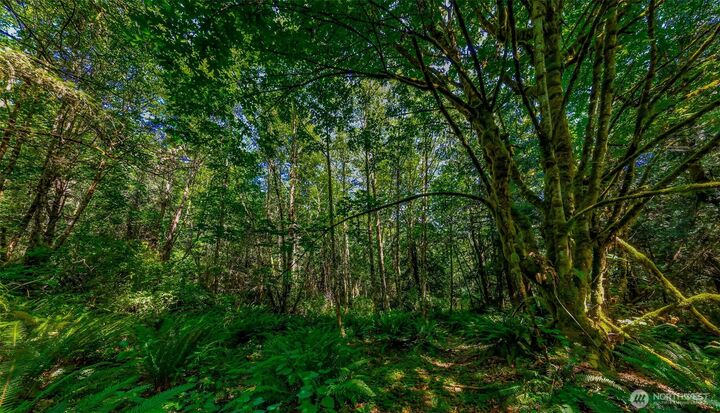 Property Photo: 8679 NE Fox Den Lane WA 98110