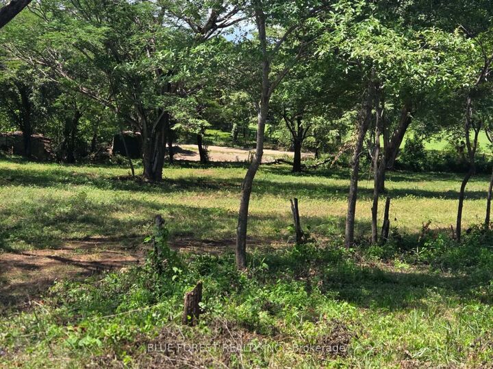 Property Photo:  Lot 29 Belen N/A    
