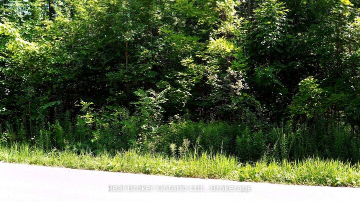 Property Photo:  71 Wozniak Road  ON L9M 1W6 