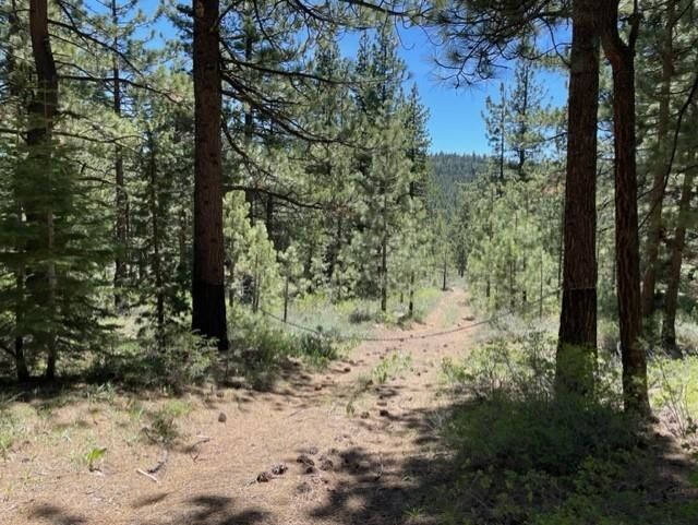 Property Photo: 019-080-028-0 Groundhog Rock CA 96125