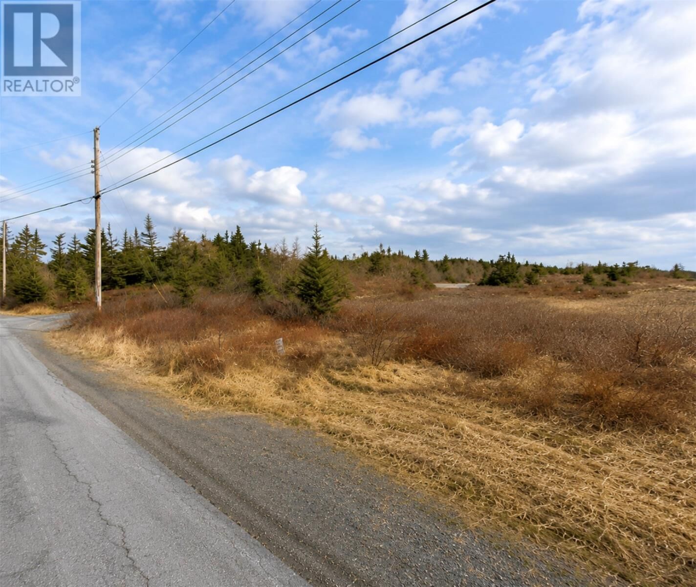 Property Photo:  163 Ridge Road  NL A0A 3X0 
