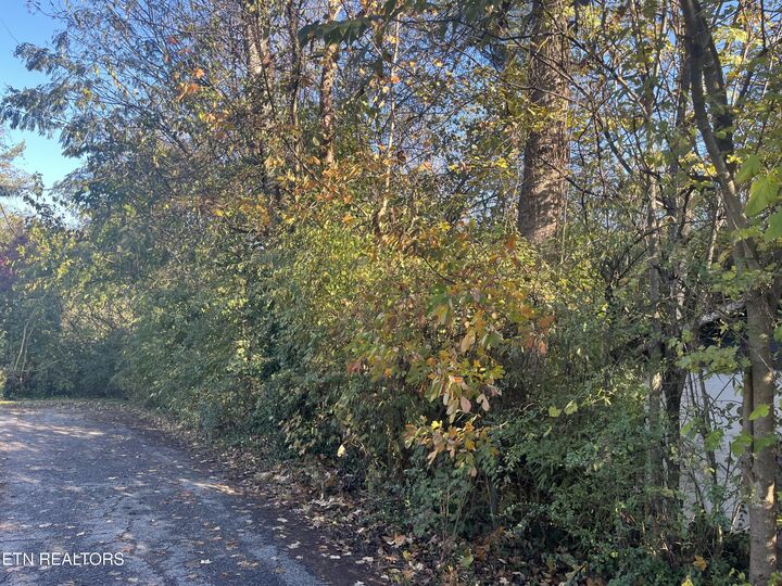 Property Photo:  2917 Brooks Ave  TN 37914 