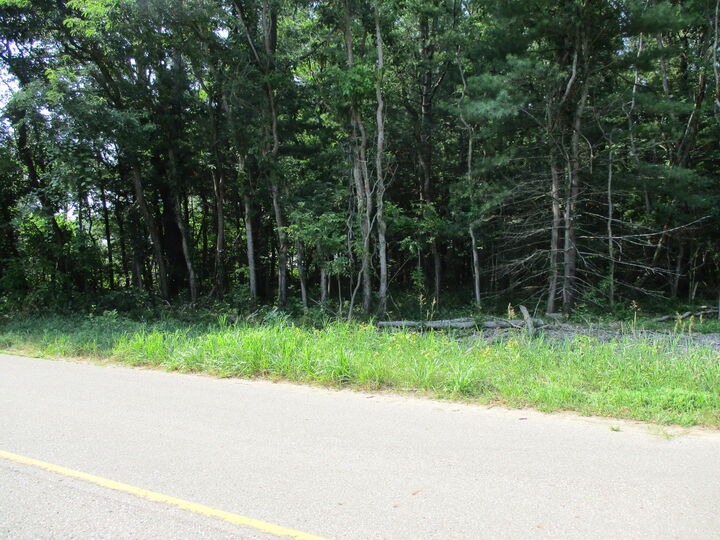 Property Photo: 105th Avenue MI 49450