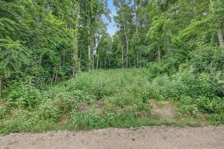 Property Photo: 737 Lee Hollow Rd TN 37079