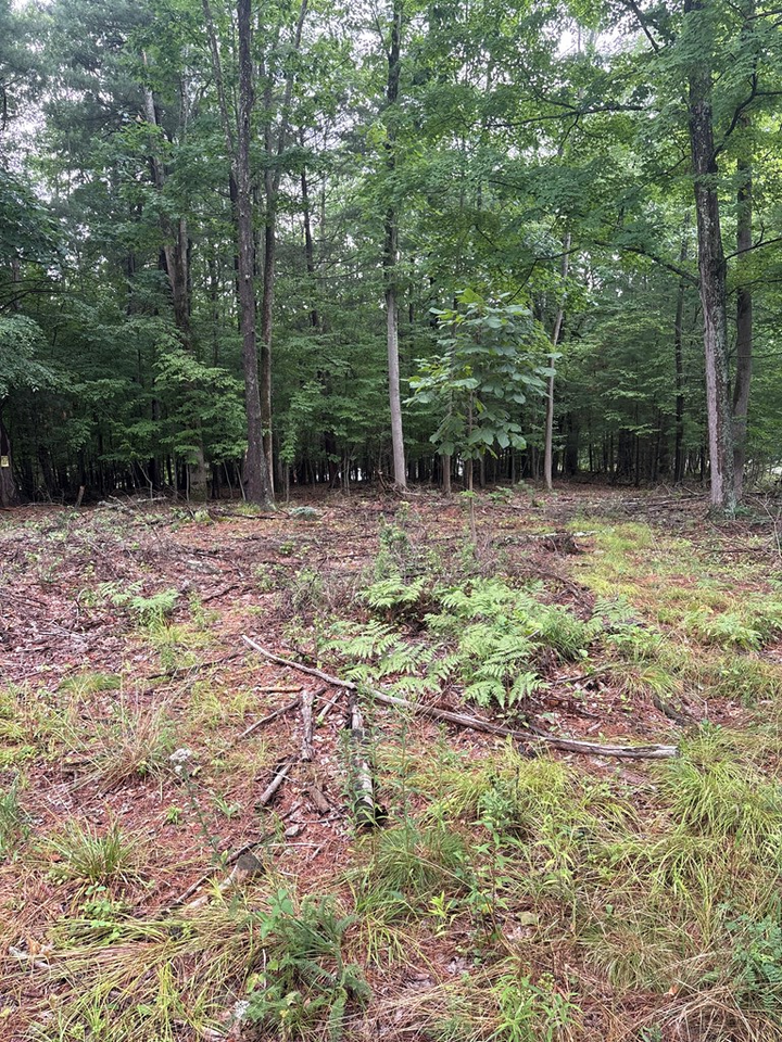 Property Photo:  Route 154  PA 17724 