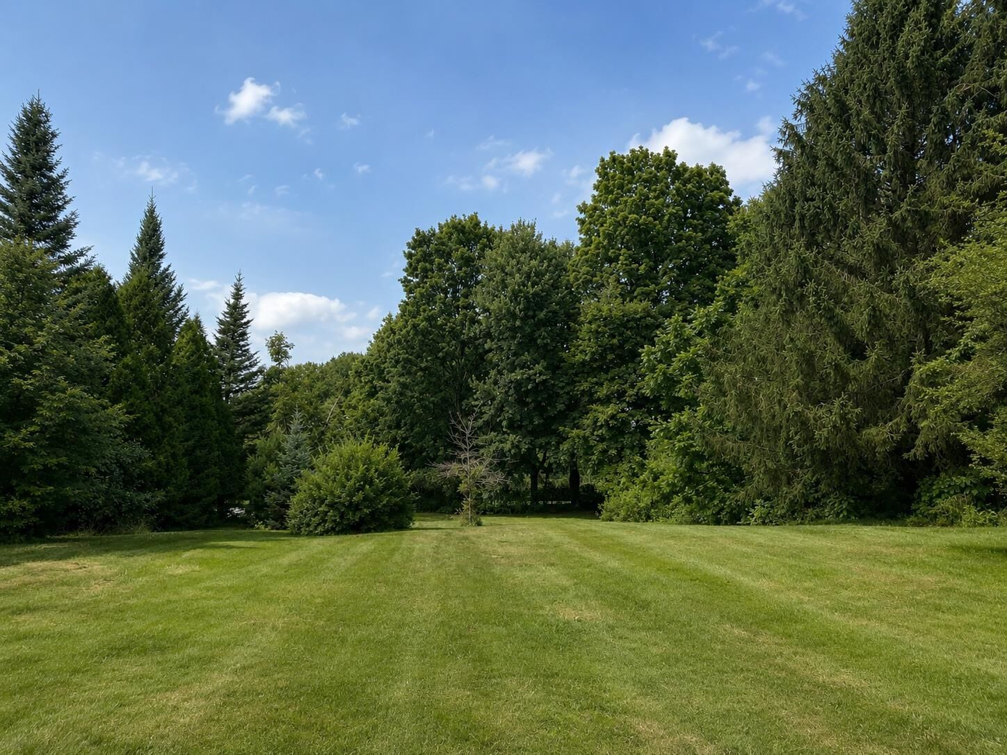 Property Photo: 240 Mountain Road NH 03301