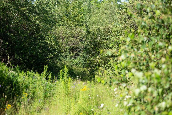 Property Photo:  Acreage Campbell Road  PE C0A 1R0 