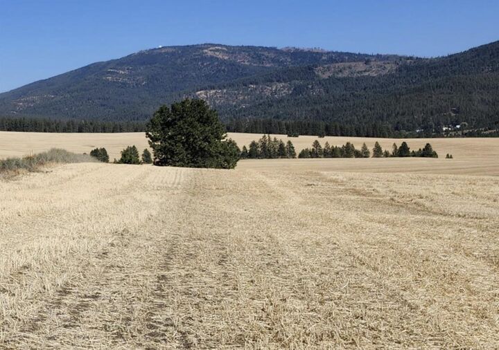 Property Photo:  Jackson S 8006 Rd  WA 99023 