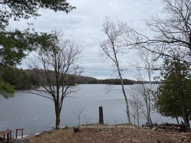 36 St Ola Lake Shore N/A E — photo 1