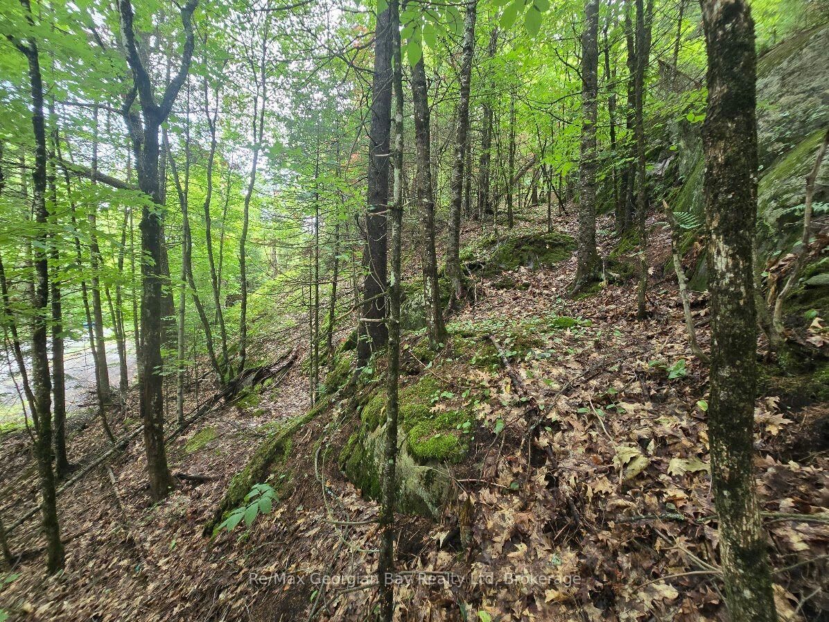 Property Photo:  107 Balsam Chutes Road  ON P0B 1L0 