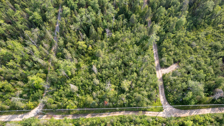 Property Photo: V/L Kittywake Lane MI 49759