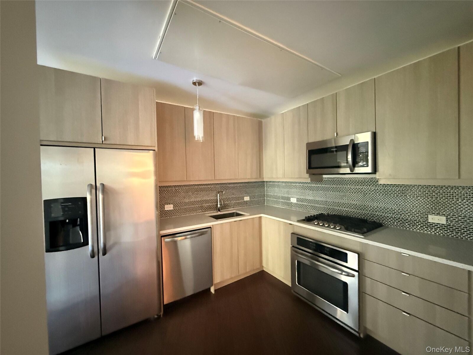 Property Photo:  250 S Central Park Avenue 3L  NY 10530 