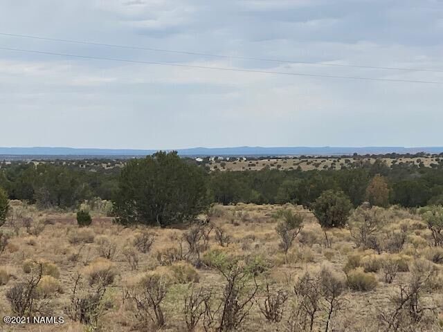 Property Photo:  10187 S Cougar Court  AZ 86046 