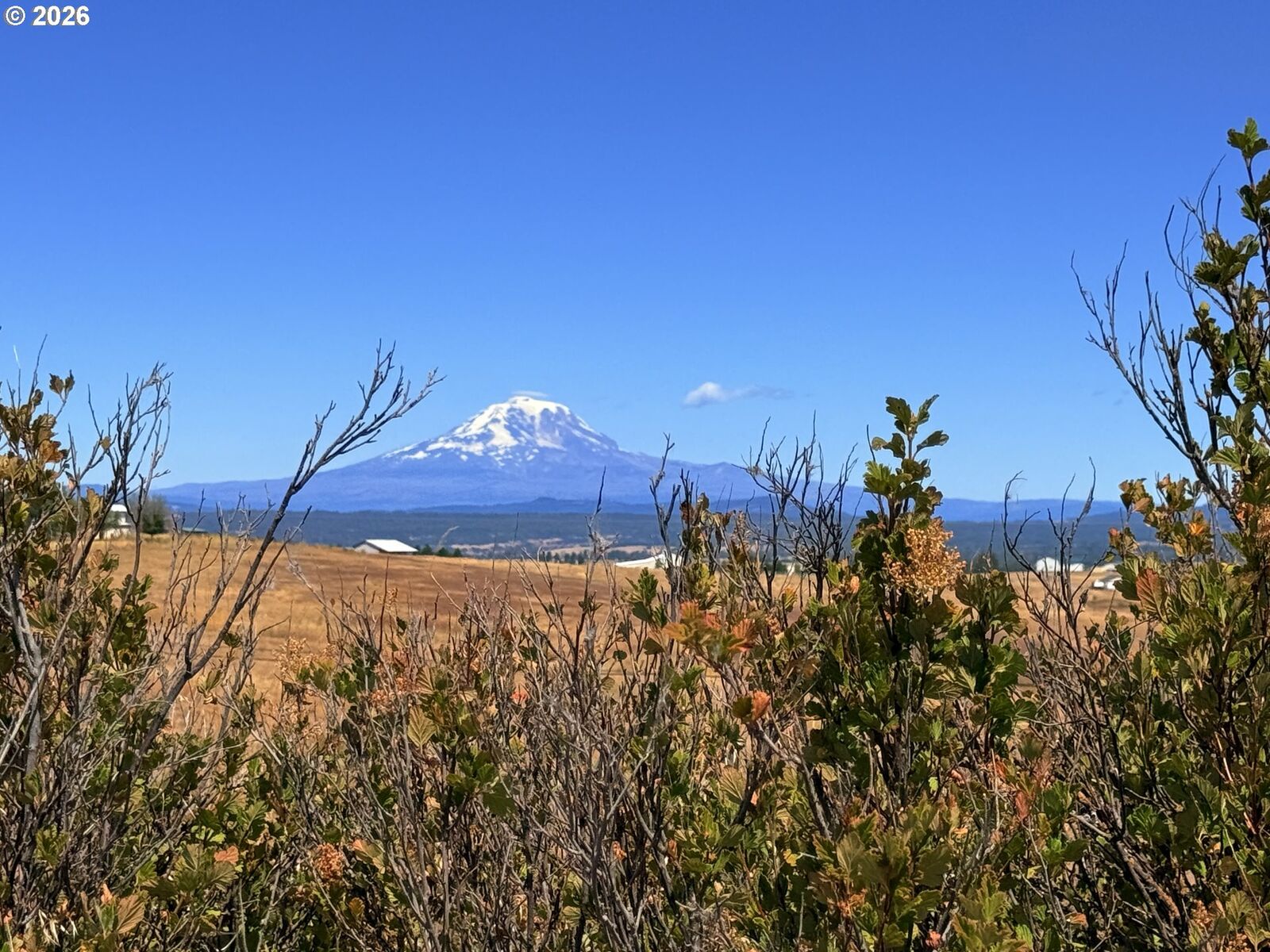 Property Photo:  Erickson Rd 28A  WA 98613 