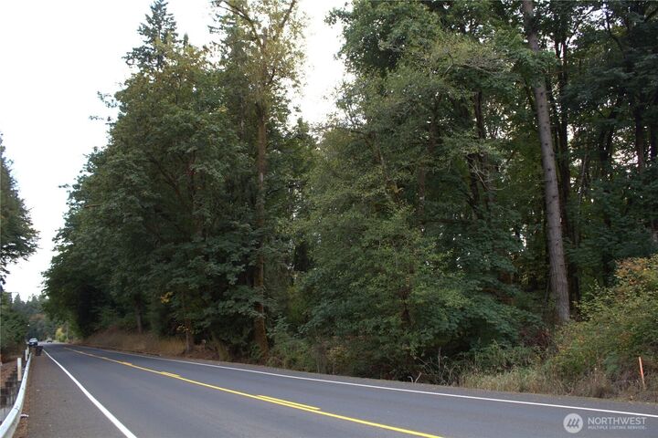 Property Photo:  0  Old Pacific Highway  WA 98611 