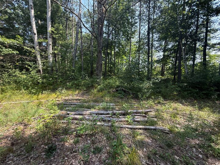 Property Photo: N3720 State Highway 40 WI 54819