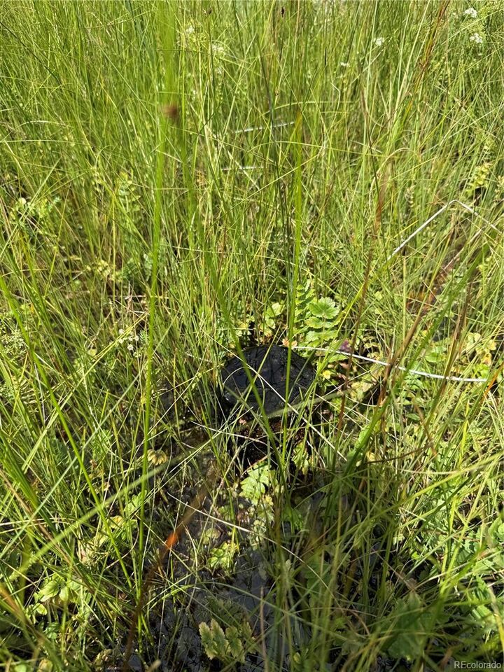 Property Photo:  00 County Road South 6  CO 81101 