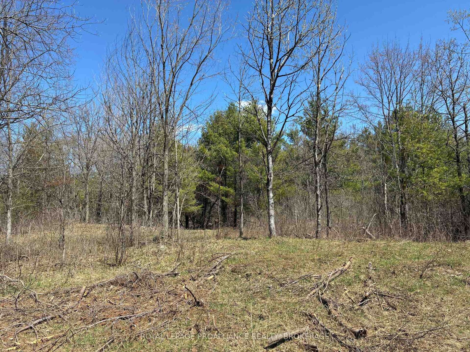 Property Photo: Lot 4 Leveque Road ON K0H 2W0