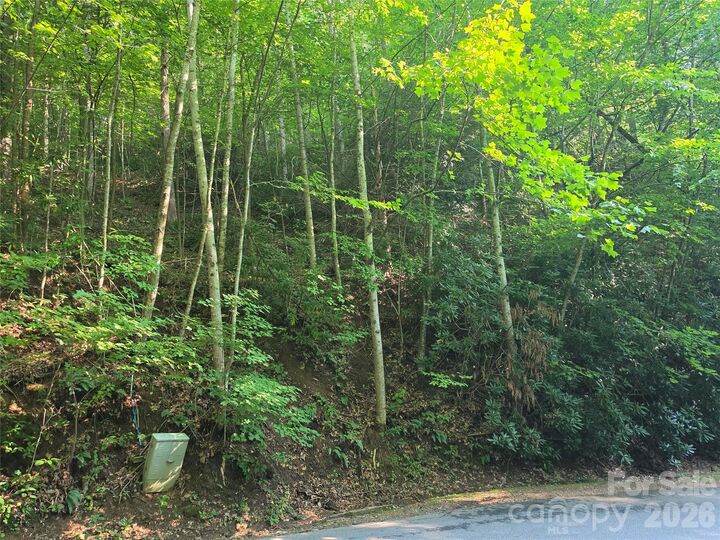Property Photo: Tbd Henry Dingus Way 26 NC 28751