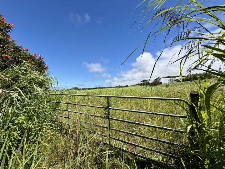 Property Photo:  32-195 Piha Kahuku Rd  HI 96780 