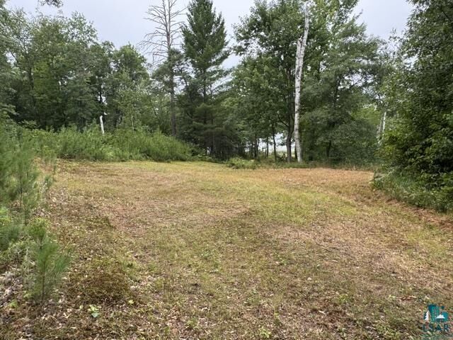Property Photo: Xxxx S Loon Lake Rd WI 54873