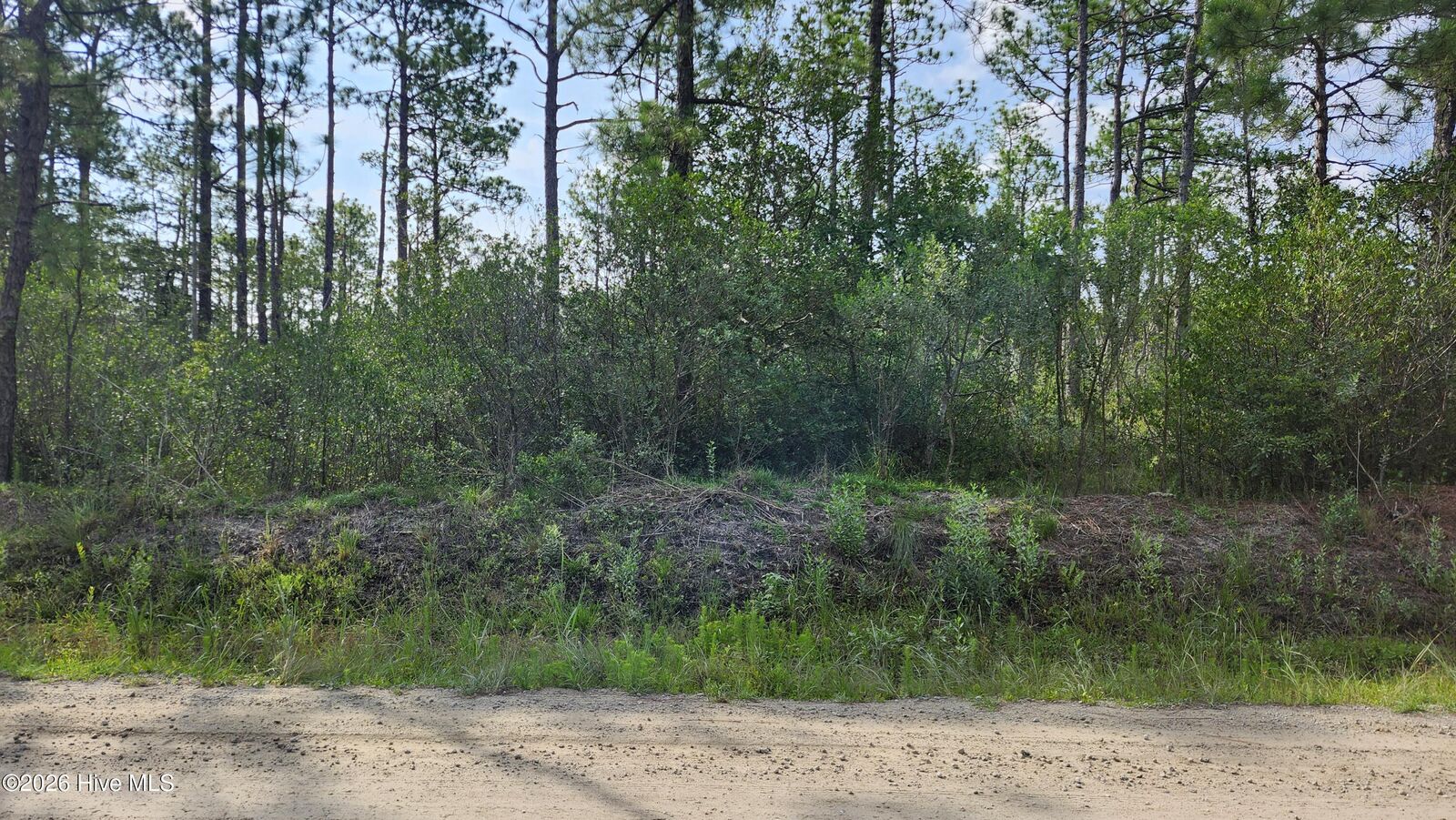 Property Photo: Lot 453 453 Queens Road NC 28461