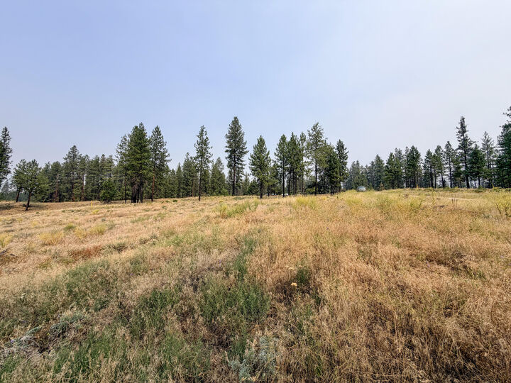 Property Photo: 1315 Inez Way WA 99141