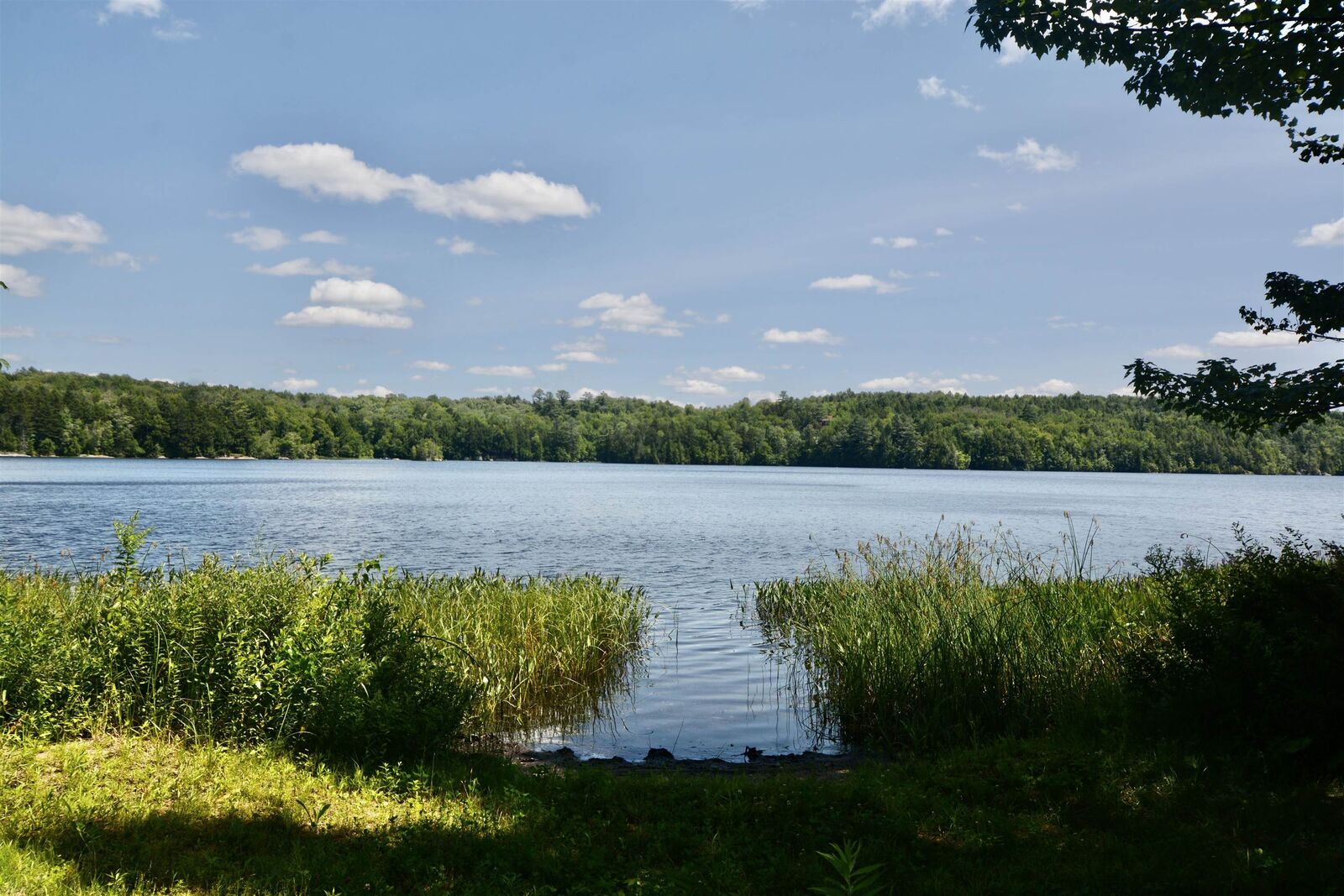 Property Photo: 27 Shore Road NH 03753