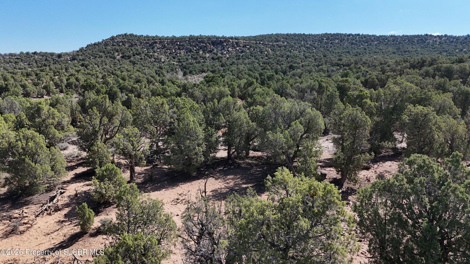 Property Photo:  2.43 Nya Nm 511  NM 87419 