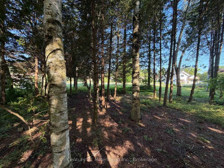 Property Photo:  Parts 5 &Amp 6 Kovac Lane  ON N0H 2L0 