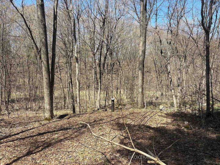 Property Photo:  Lot 1 Sweetfern Lane  ON K0H 1H0 