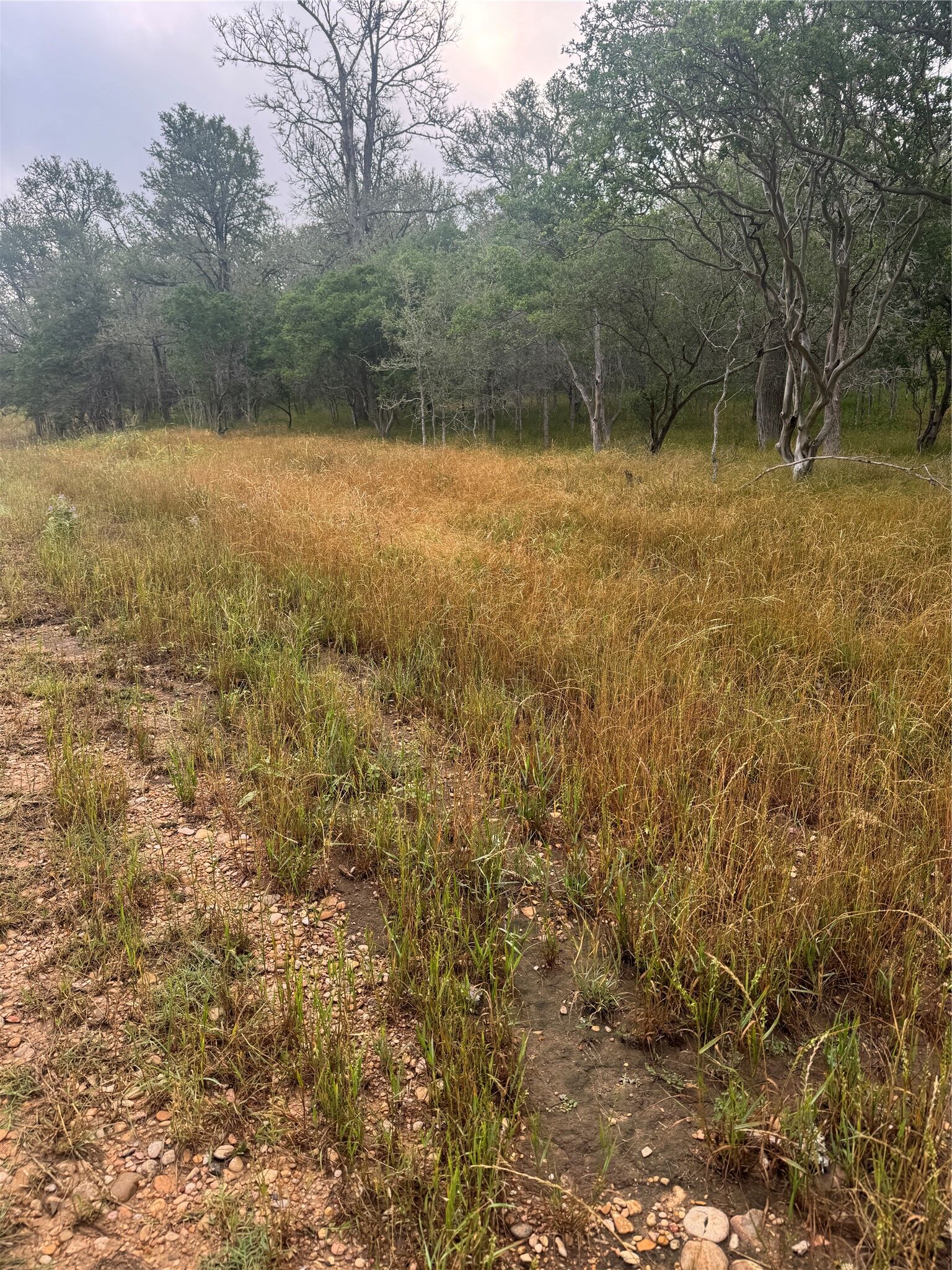 Property Photo:  107 And 109 Hauula Court  TX 78602 