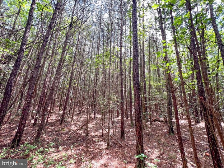 Property Photo: 25.5 Acres Ladysmith VA 22546