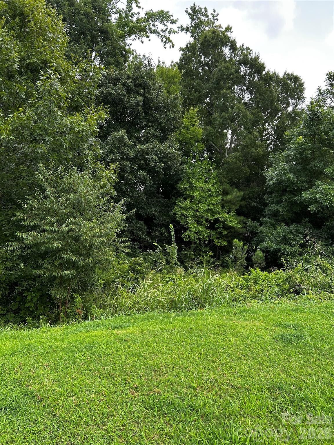 Property Photo: 704 Larimer Lane 49 NC 28262