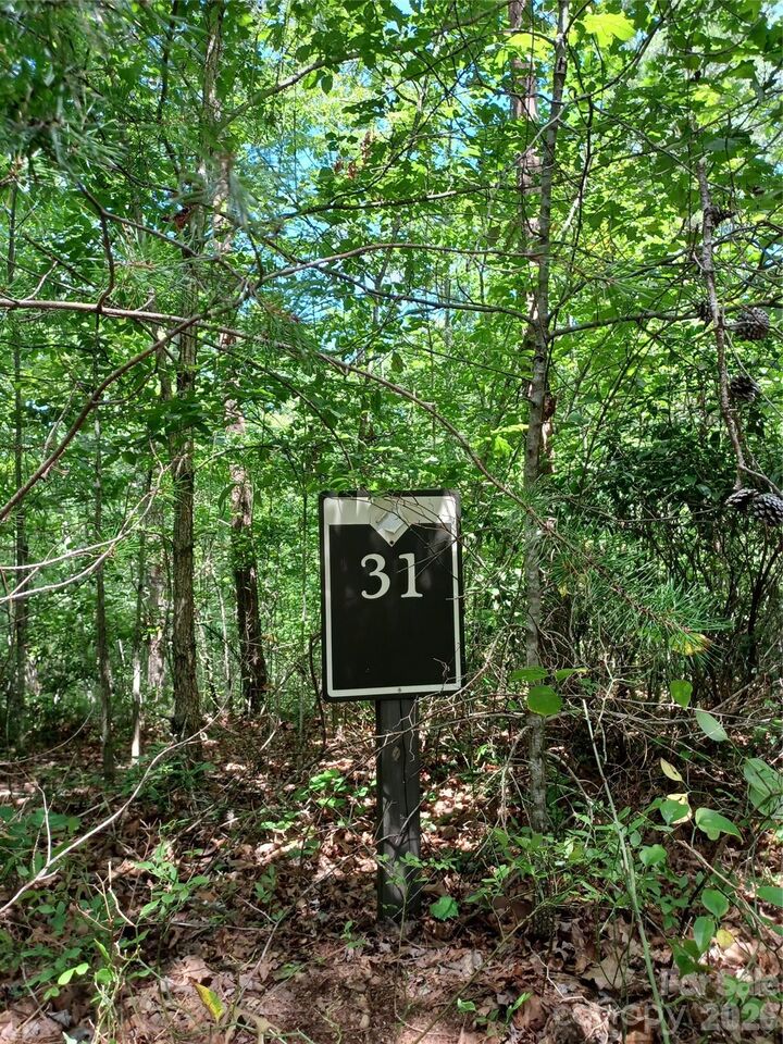 Property Photo: 31 Hull Avenue NC 28761